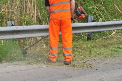 reddito di cittadinanza